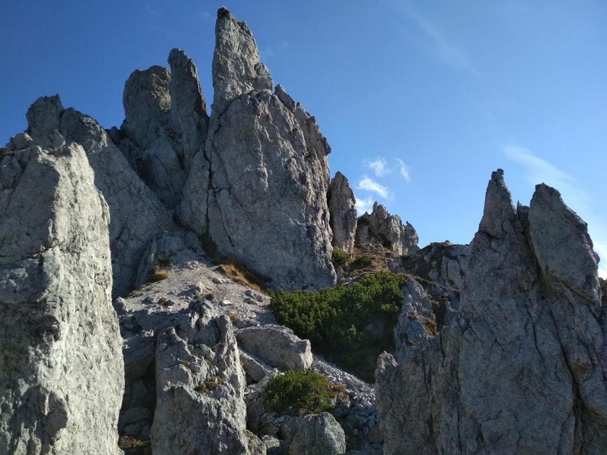 Villa Liptovmara Ižipovce المظهر الخارجي الصورة